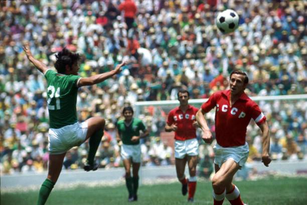 这种情感的 这种情感的