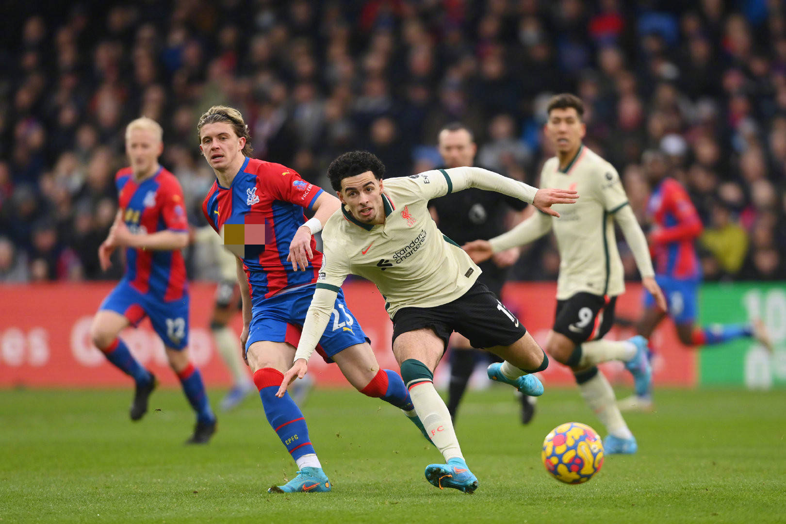 都奠定了恩 都奠定了恩